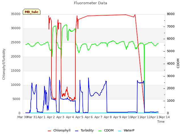 plot of Fluorometer Data