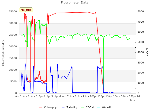 plot of Fluorometer Data