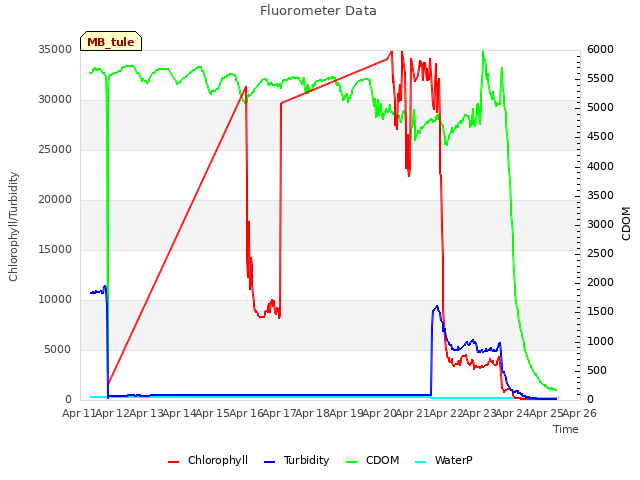 plot of Fluorometer Data