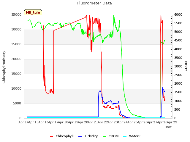 plot of Fluorometer Data