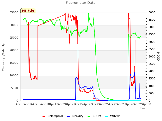 plot of Fluorometer Data