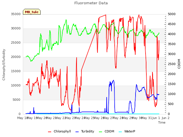 plot of Fluorometer Data