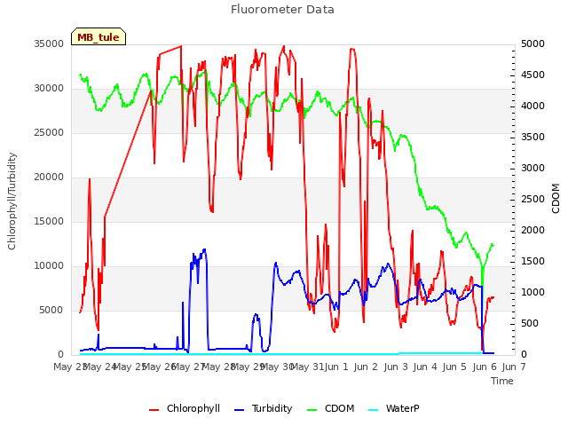 plot of Fluorometer Data