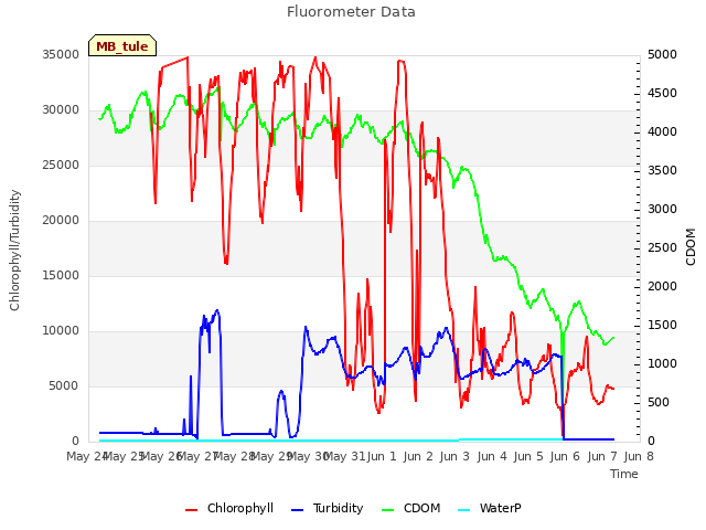 plot of Fluorometer Data