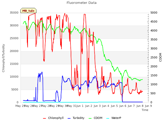 plot of Fluorometer Data