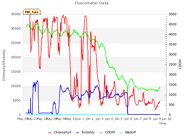 plot of Fluorometer Data