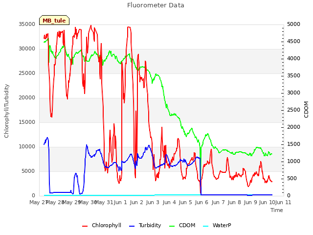 plot of Fluorometer Data