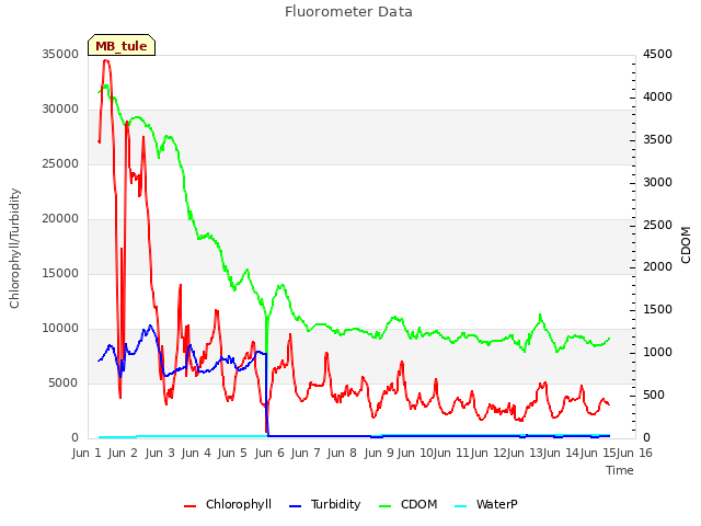 plot of Fluorometer Data