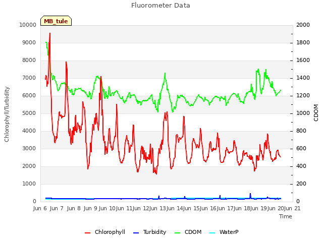 plot of Fluorometer Data