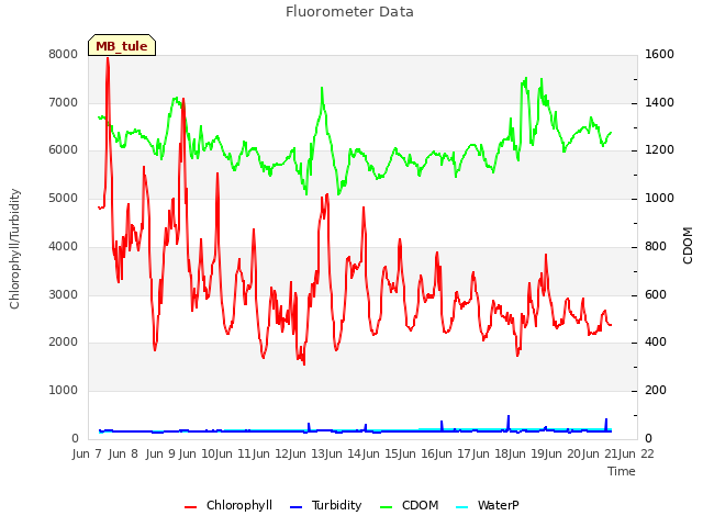 plot of Fluorometer Data