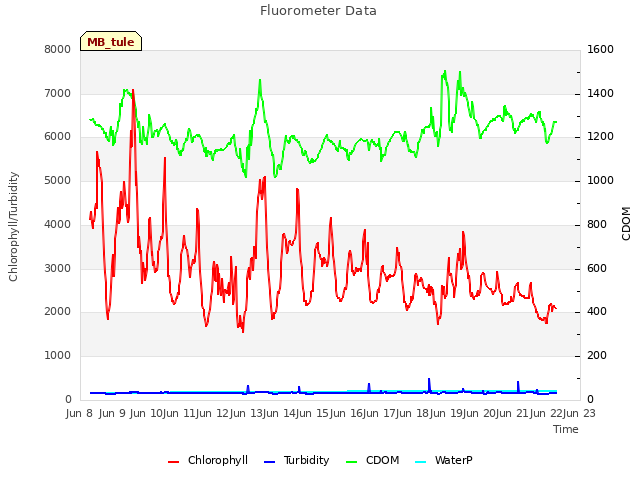 plot of Fluorometer Data