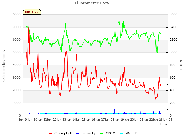 plot of Fluorometer Data