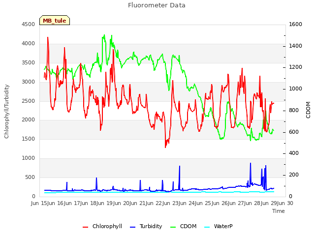 plot of Fluorometer Data