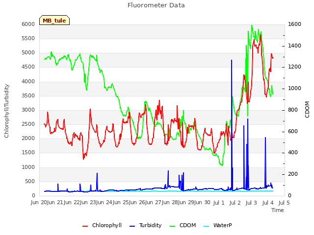 plot of Fluorometer Data