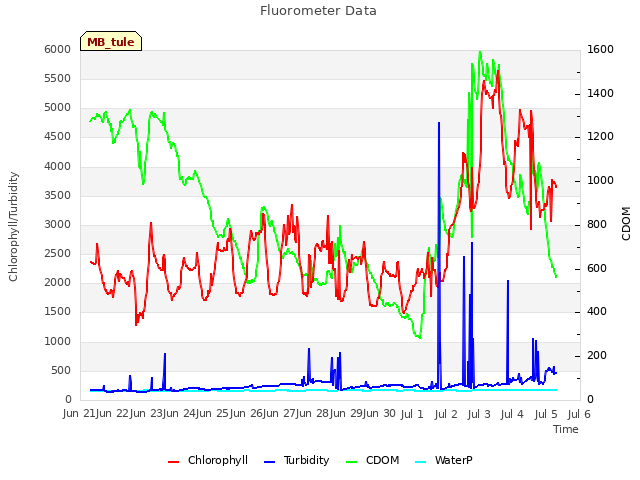 plot of Fluorometer Data