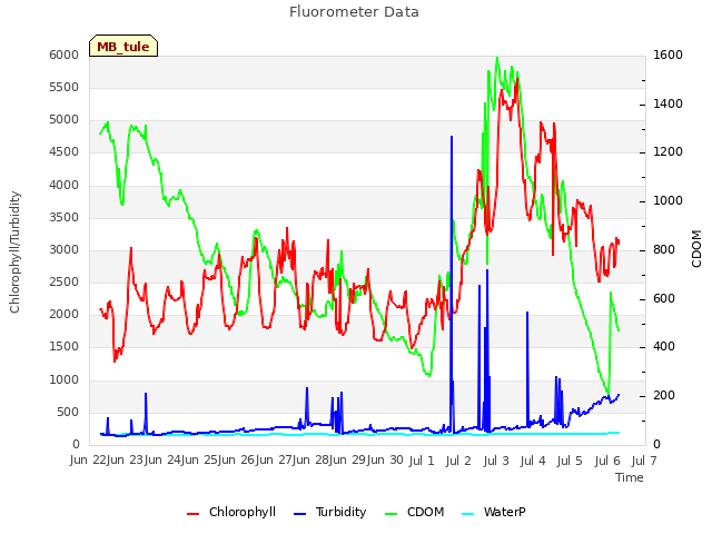 plot of Fluorometer Data