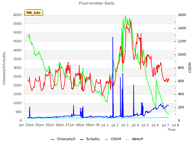 plot of Fluorometer Data