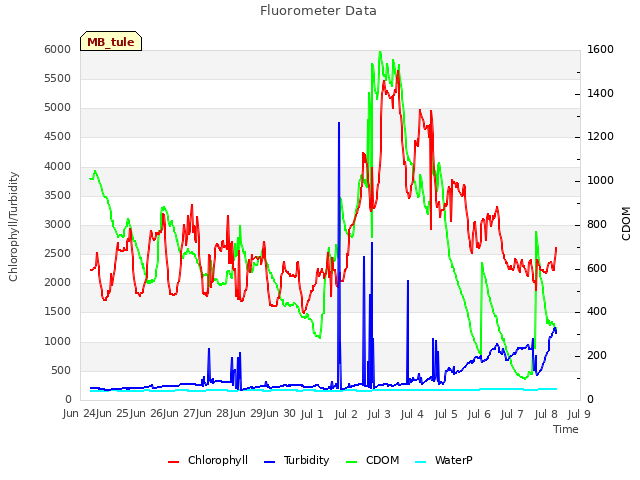 plot of Fluorometer Data