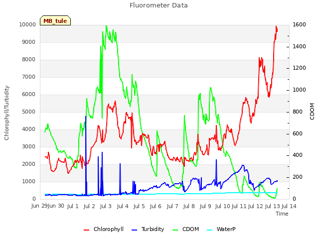 plot of Fluorometer Data