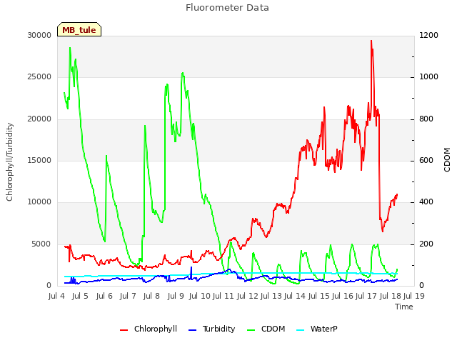 plot of Fluorometer Data