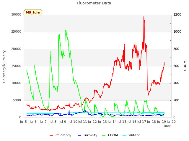 plot of Fluorometer Data