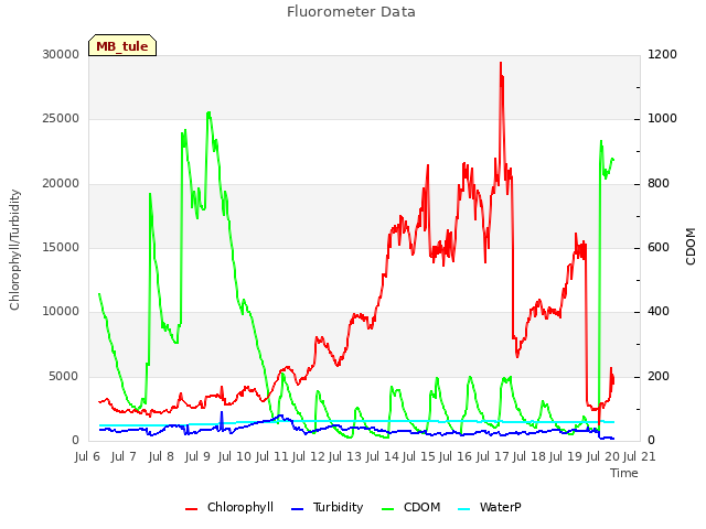 plot of Fluorometer Data