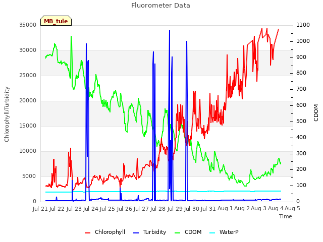 plot of Fluorometer Data