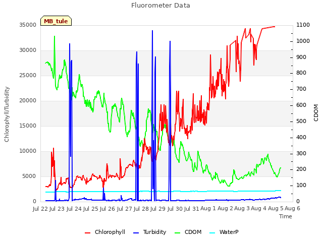 plot of Fluorometer Data