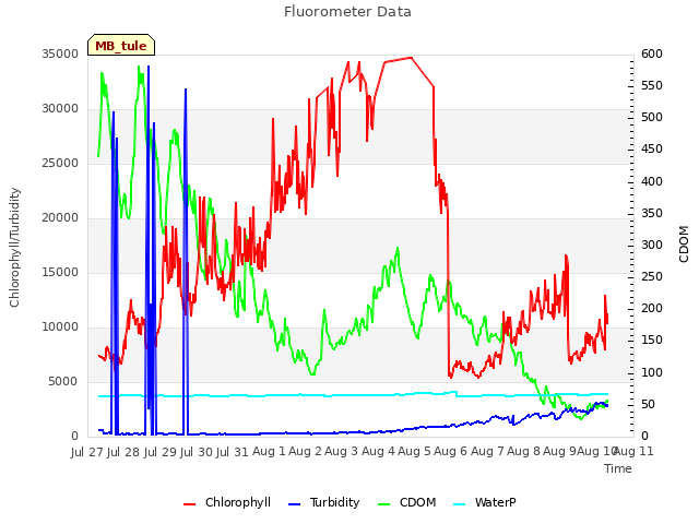 plot of Fluorometer Data