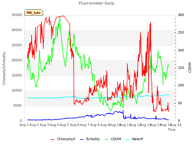 plot of Fluorometer Data