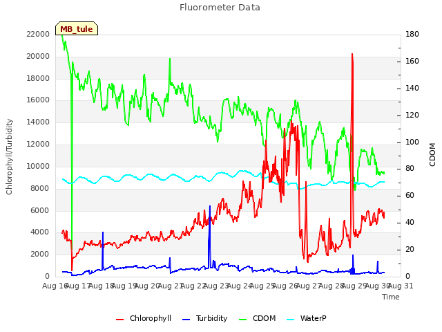 plot of Fluorometer Data