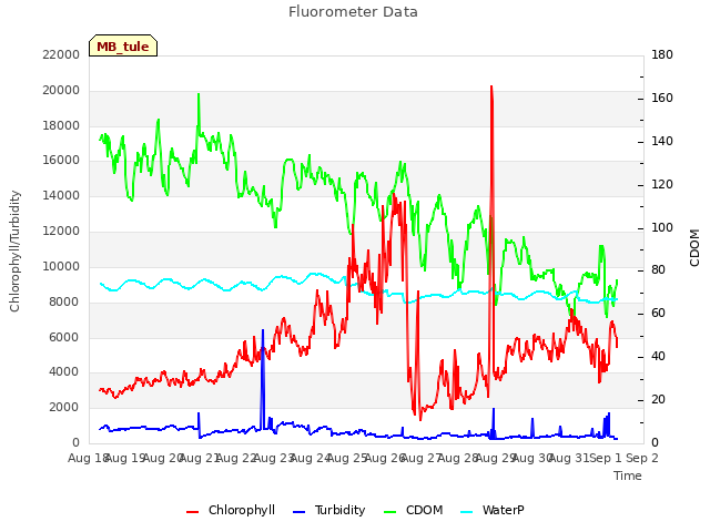 plot of Fluorometer Data