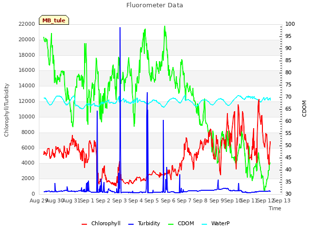 plot of Fluorometer Data