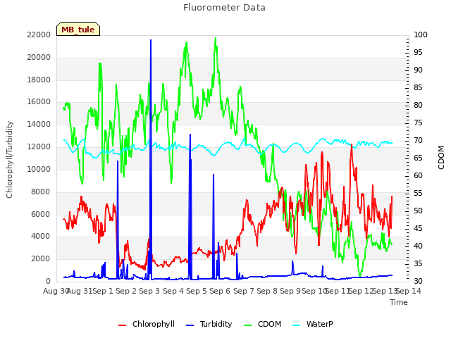 plot of Fluorometer Data