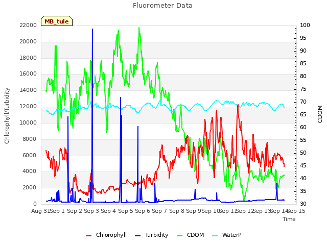 plot of Fluorometer Data