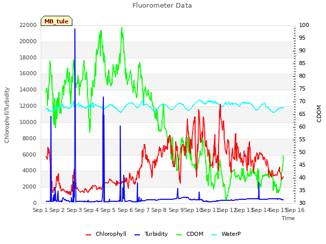 plot of Fluorometer Data