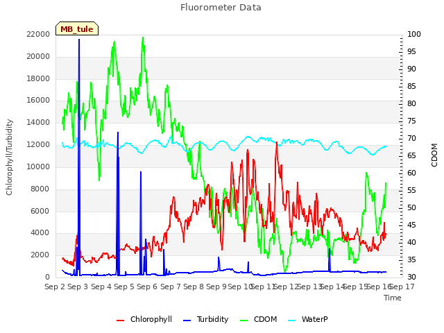 plot of Fluorometer Data