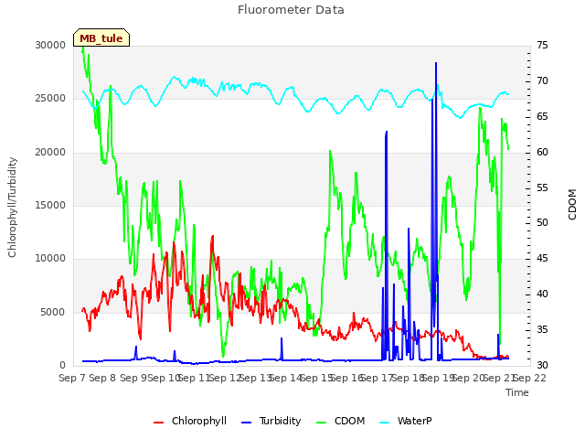 plot of Fluorometer Data