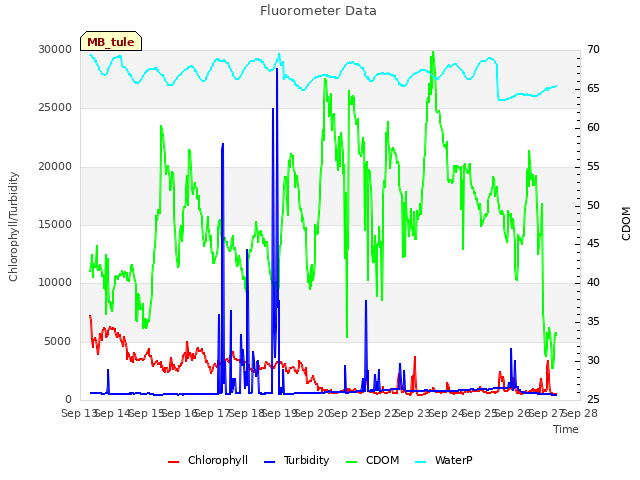 plot of Fluorometer Data