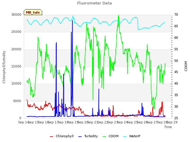 plot of Fluorometer Data