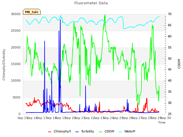 plot of Fluorometer Data