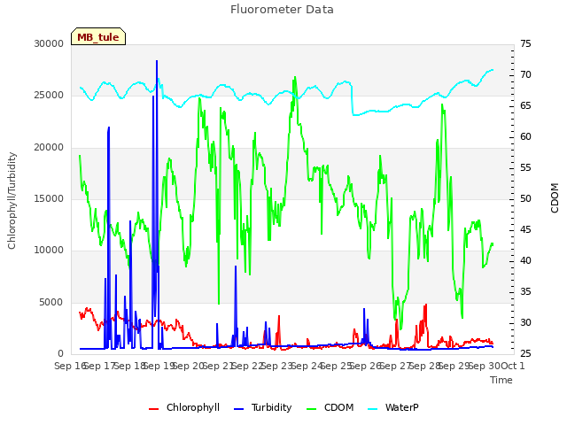 plot of Fluorometer Data