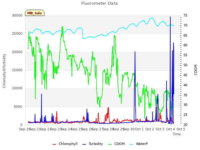 plot of Fluorometer Data