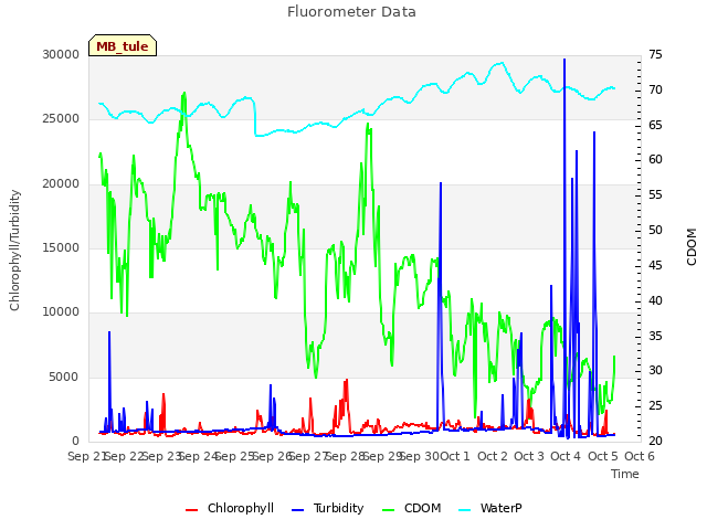 plot of Fluorometer Data