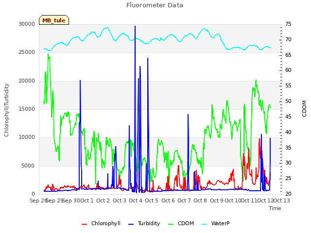 plot of Fluorometer Data