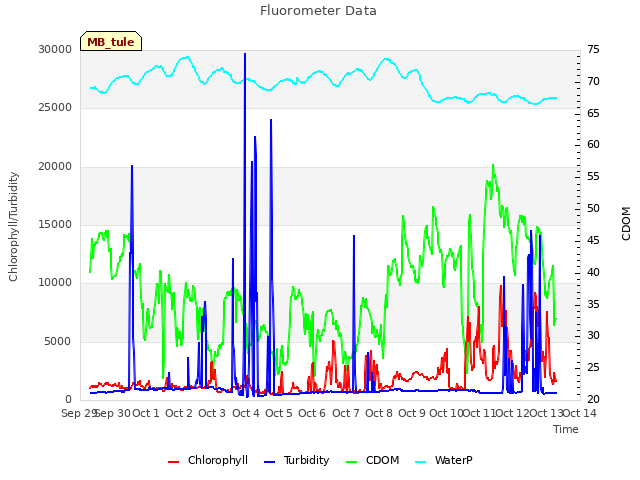 plot of Fluorometer Data