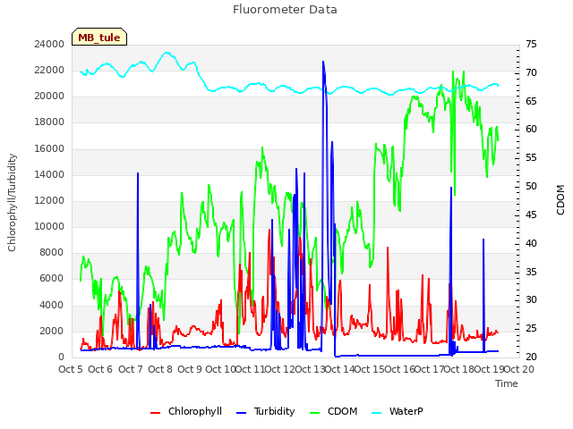 plot of Fluorometer Data