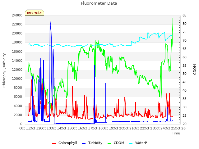 plot of Fluorometer Data