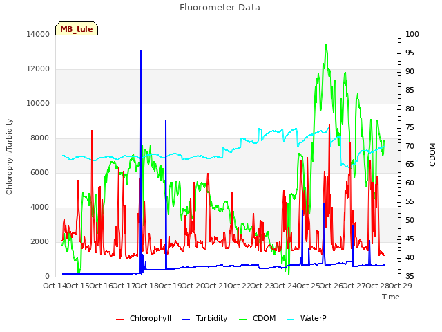 plot of Fluorometer Data