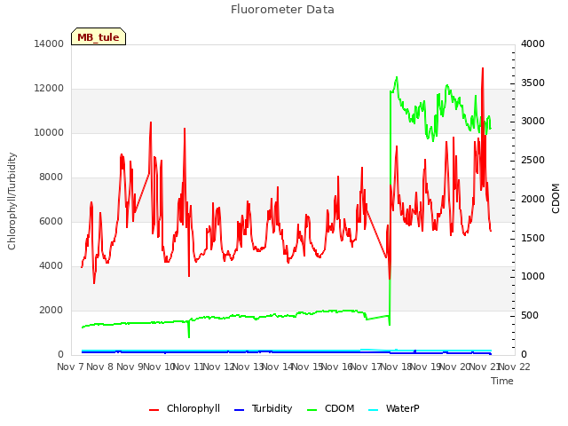 plot of Fluorometer Data